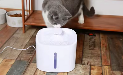 Boisson Animaux Pratique