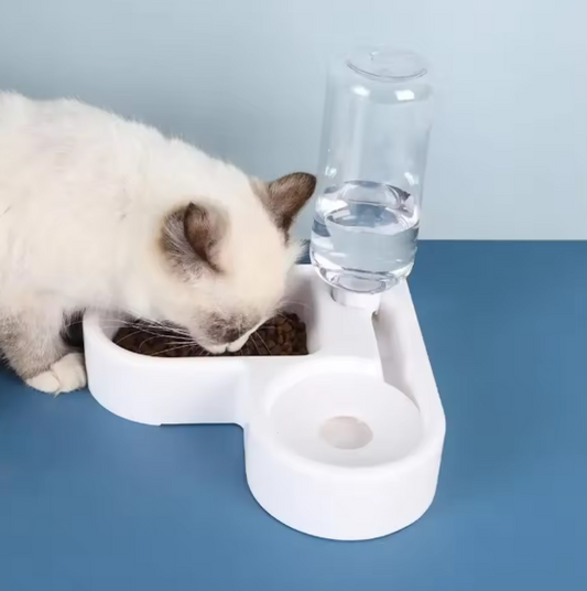 Gamelle automatique pour chats et chiens et eau potable