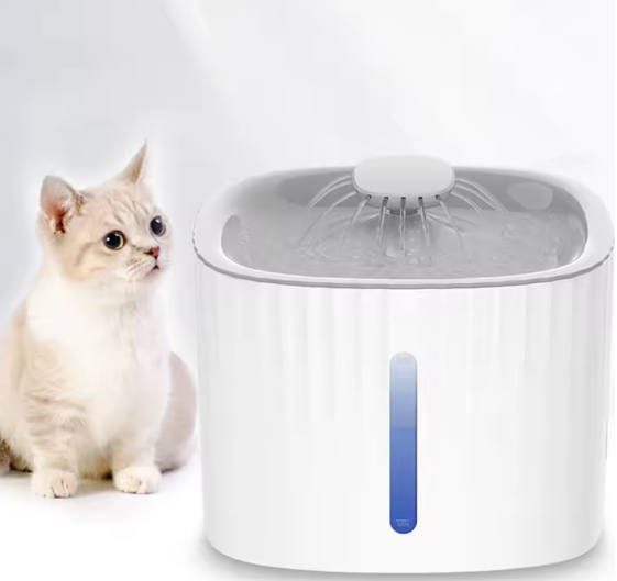 Boisson Animaux Pratique