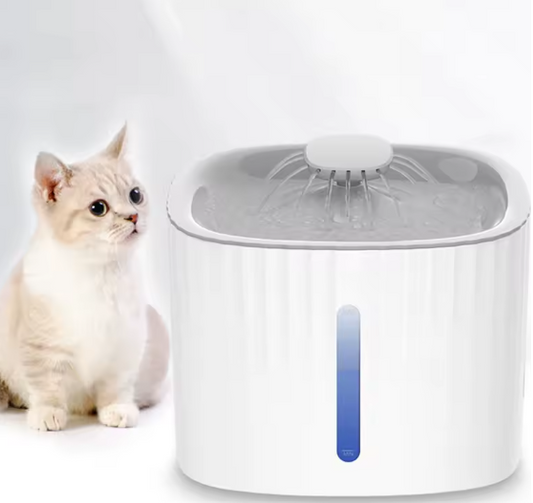 Boisson Animaux Pratique